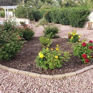 Meet your Posher, Mahyar